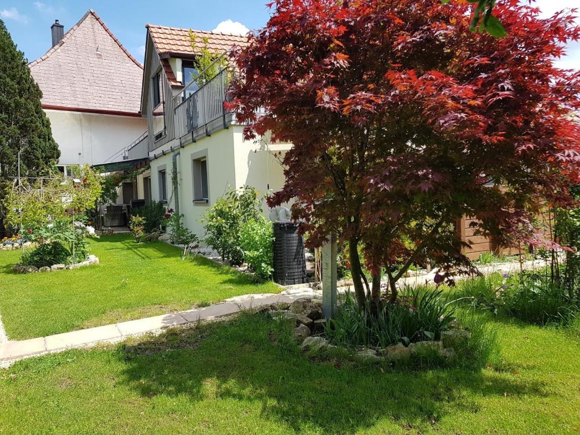 Bnb Comfort Guesthouse Olten - Lostorf Eksteriør billede
