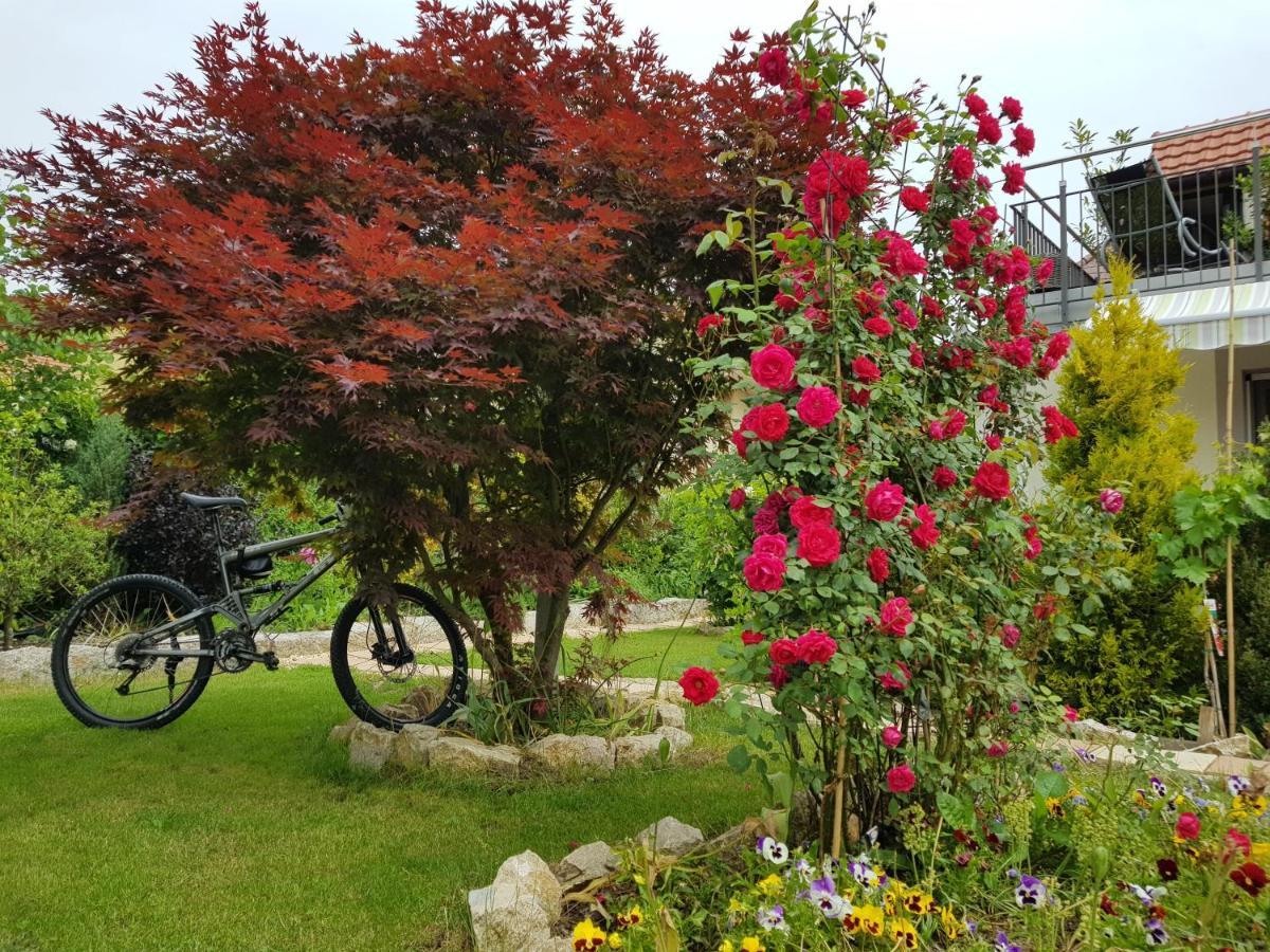 Bnb Comfort Guesthouse Olten - Lostorf Eksteriør billede