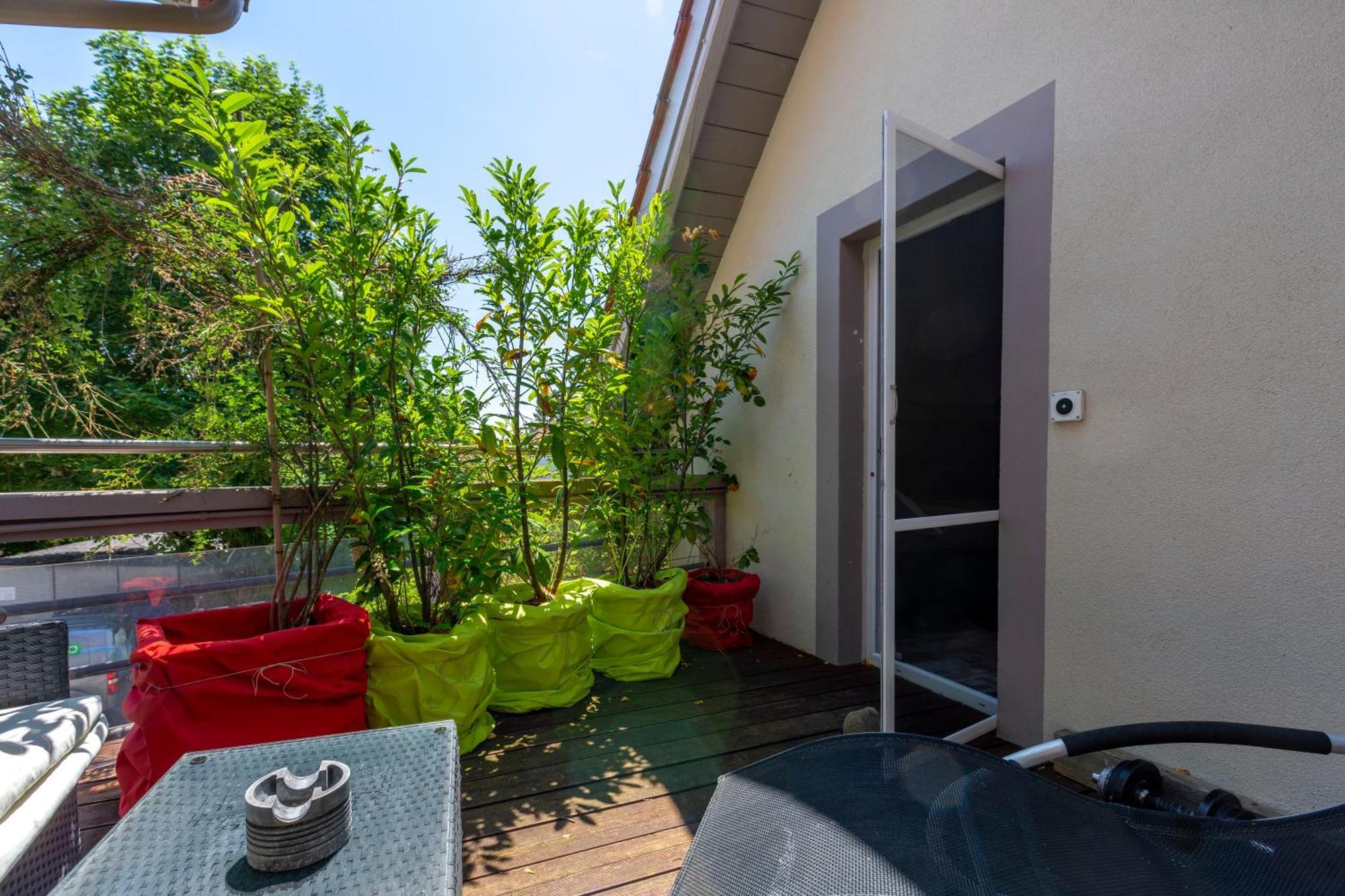 Bnb Comfort Guesthouse Olten - Lostorf Eksteriør billede